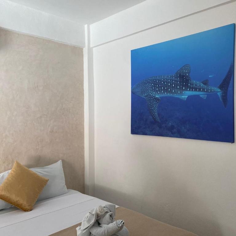 Hotel Pelecanus Suites Holbox - Habitación Doble Deluxe - 4