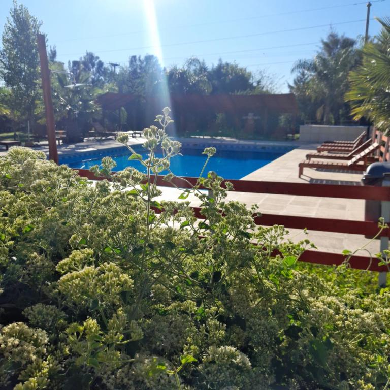 Verde y Sol en la Colonia Bungalows y Cabañas - Casa con 1 dormitorio - 2