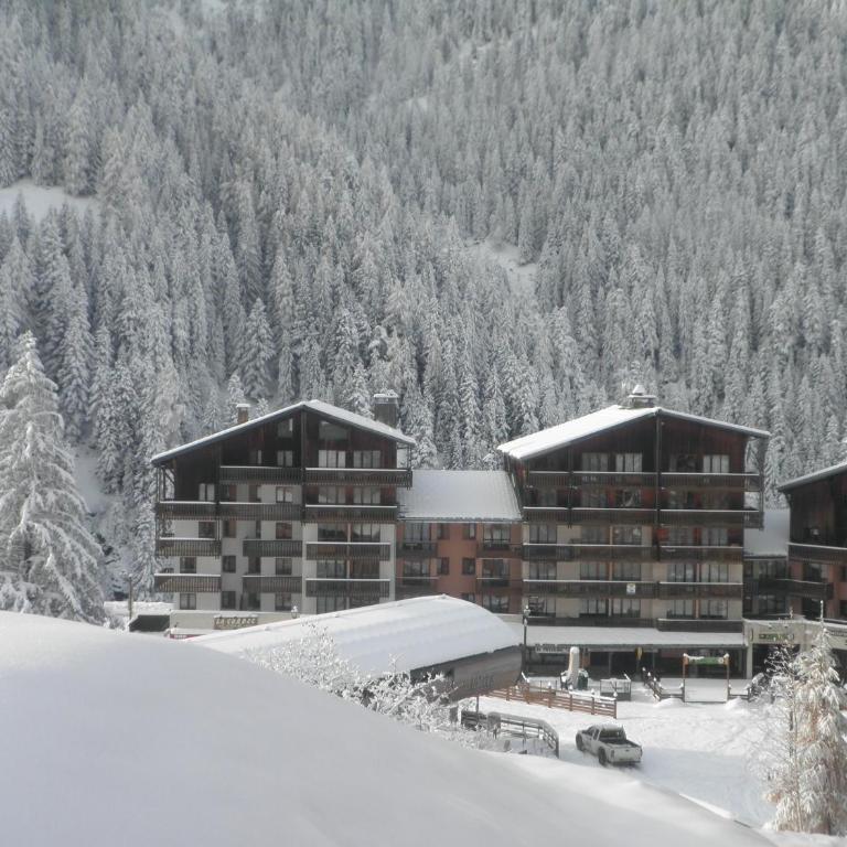 Studio cosy pour 4 pers. à 20m du télécabine, cuisine équipée, balcon, 3ème étage ascenseur - FR-1-561-117 - Estudio - 13