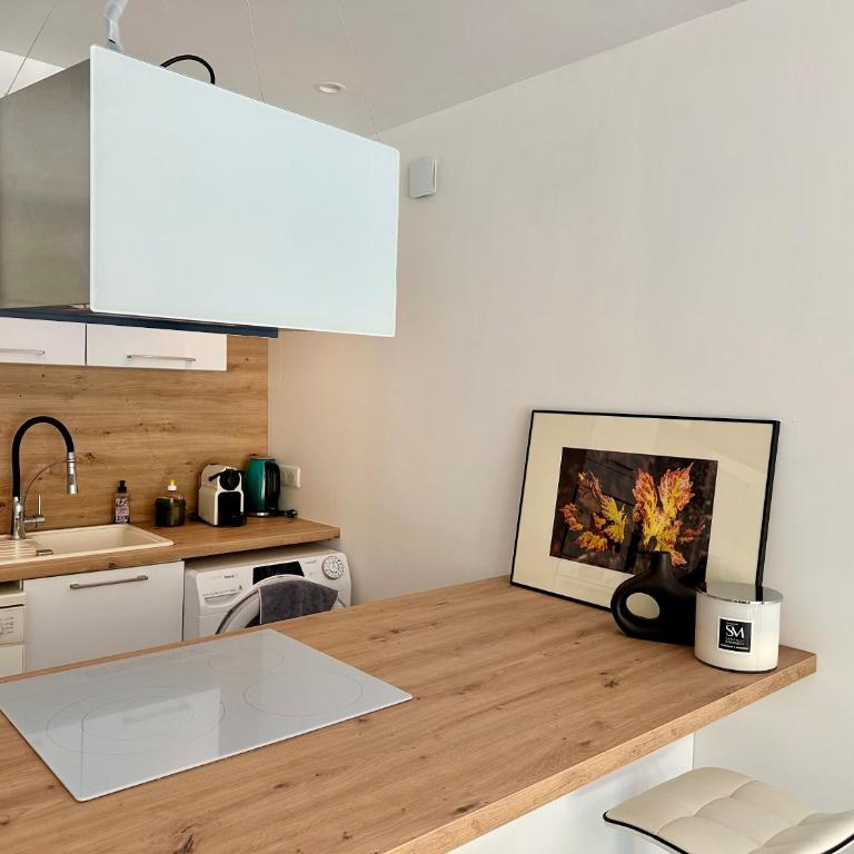 Le Hugo au fil du Canal - Appartement 1 Chambre - 21