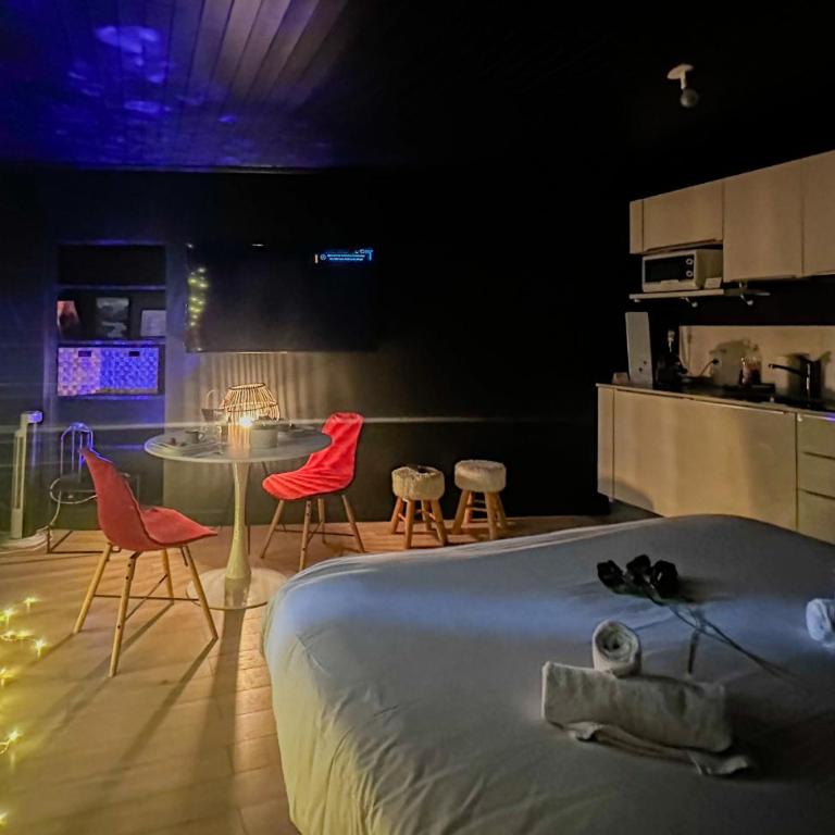 Loveroom Adults Only jacuzzi vieille ville Annecy - Monolocale con Vasca Idromassaggio - 3