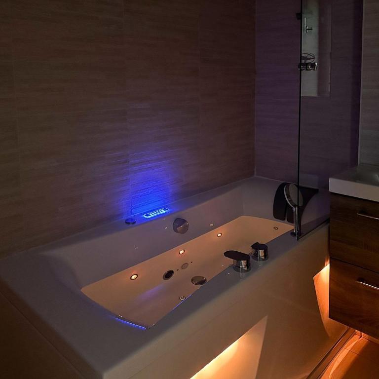 Loveroom Adults Only jacuzzi vieille ville Annecy - Monolocale con Vasca Idromassaggio - 6