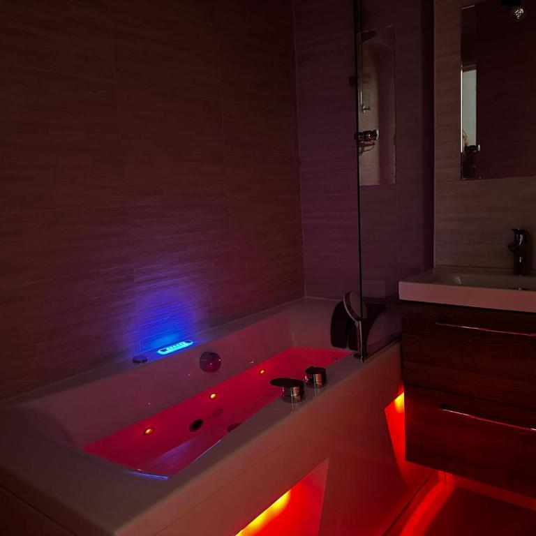 Loveroom Adults Only jacuzzi vieille ville Annecy - Monolocale con Vasca Idromassaggio - 10