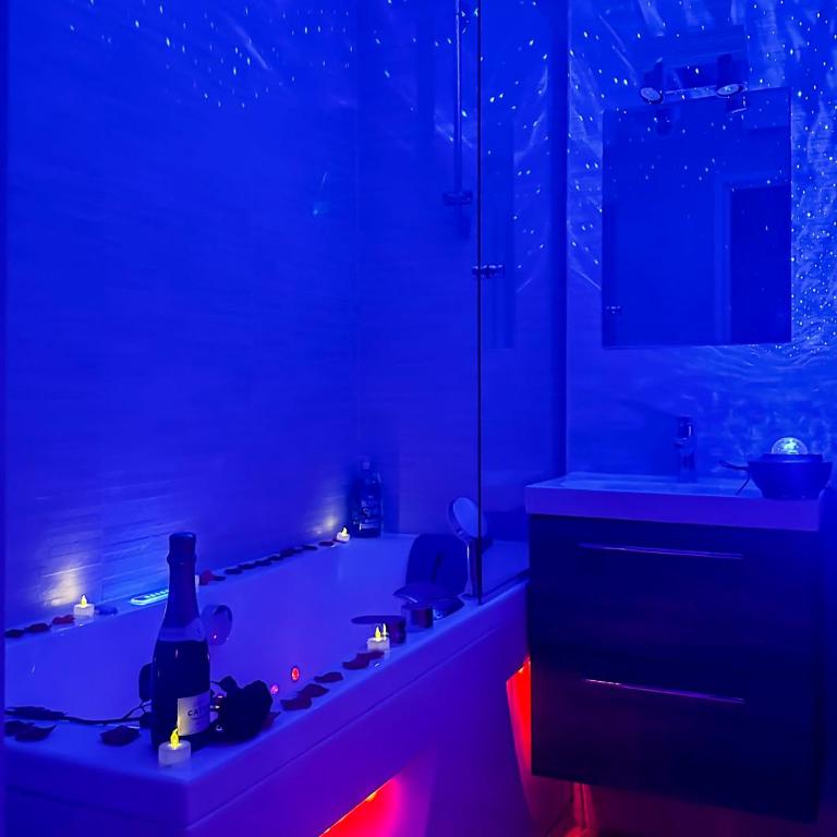 Loveroom Adults Only jacuzzi vieille ville Annecy - Monolocale con Vasca Idromassaggio - 1