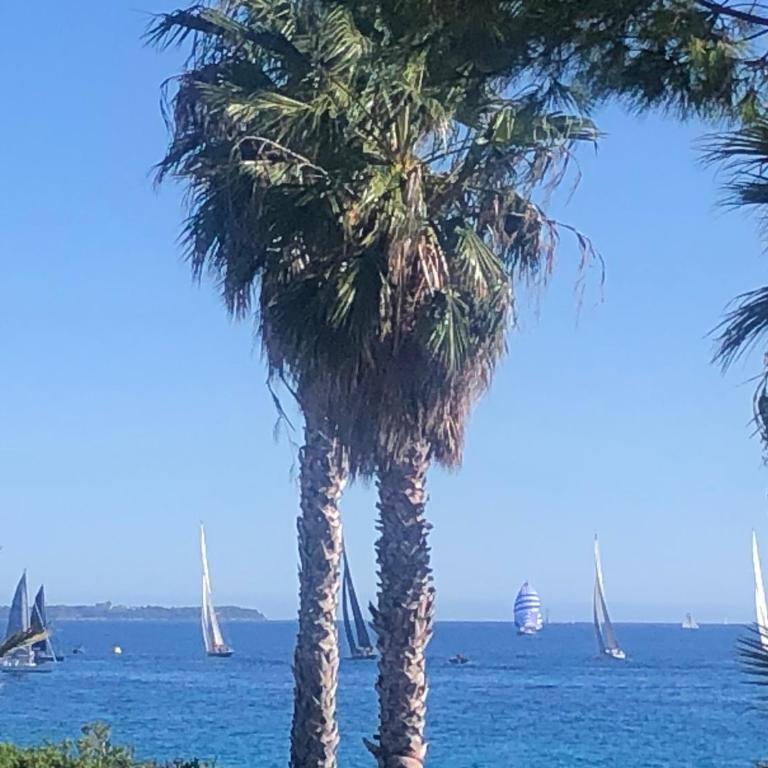 Cannes Terrace Beach Front & Sea view - Apartment mit Terrasse - 49