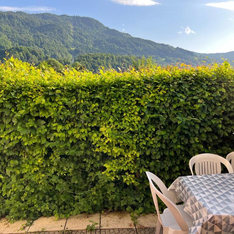 Samoens centre - appartement une chambre - Appartamento con 1 Camera da Letto - 9