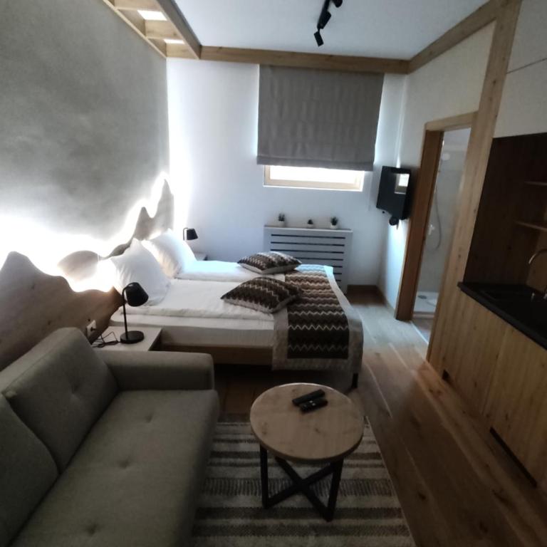 Apartments D035 & D032 in Aparthotel Vucko, Jahorina-private host - Studio with Sofa Bed - 12