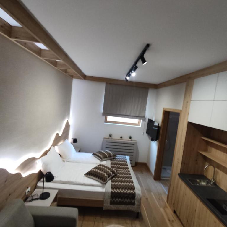 Apartments D035 & D032 in Aparthotel Vucko, Jahorina-private host - Studio with Sofa Bed - 13