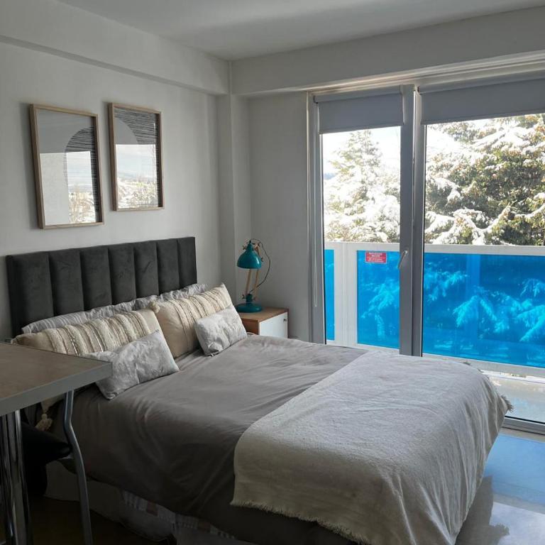 Marinas Ushuaia - Apartamento de 1 dormitorio - 1