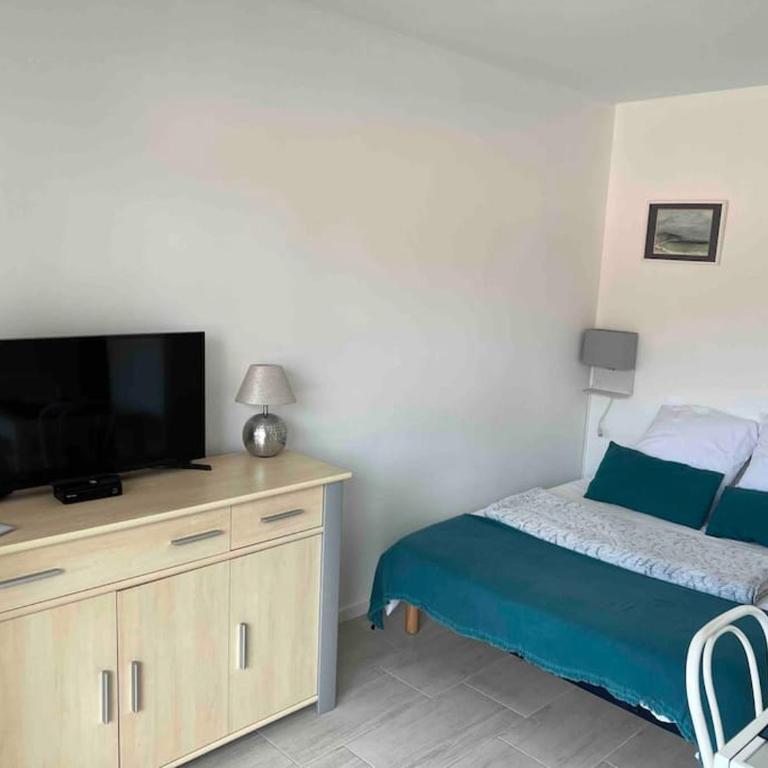 Studio Arcachon - One-Bedroom Apartment - 18