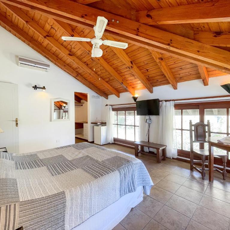 Pino Dorado - Family Studio - 11