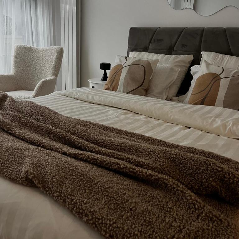 Dorcolina - Novi Dorcol - Apartman sa 1 Spavaćom Sobom - 4