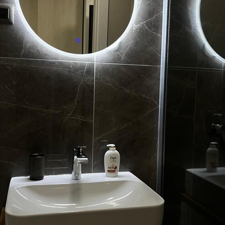 Dorcolina - Novi Dorcol - Apartman sa 1 Spavaćom Sobom - 19