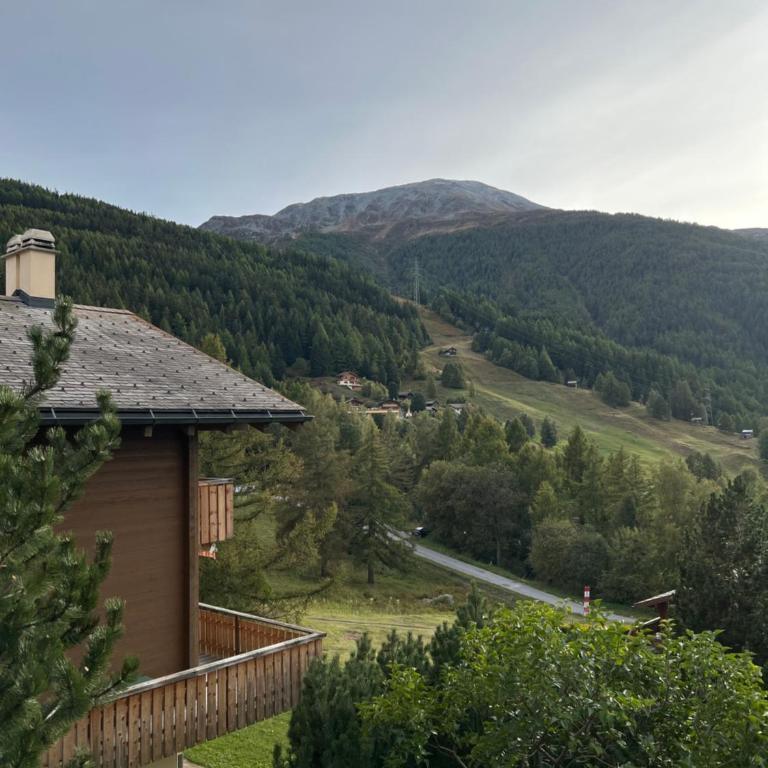 Maisonette Wohnung mit Bergsicht - Apartment - auf 2 Etagen - 33