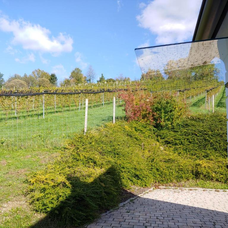 kleine Reblaus - Vacation Home - 13