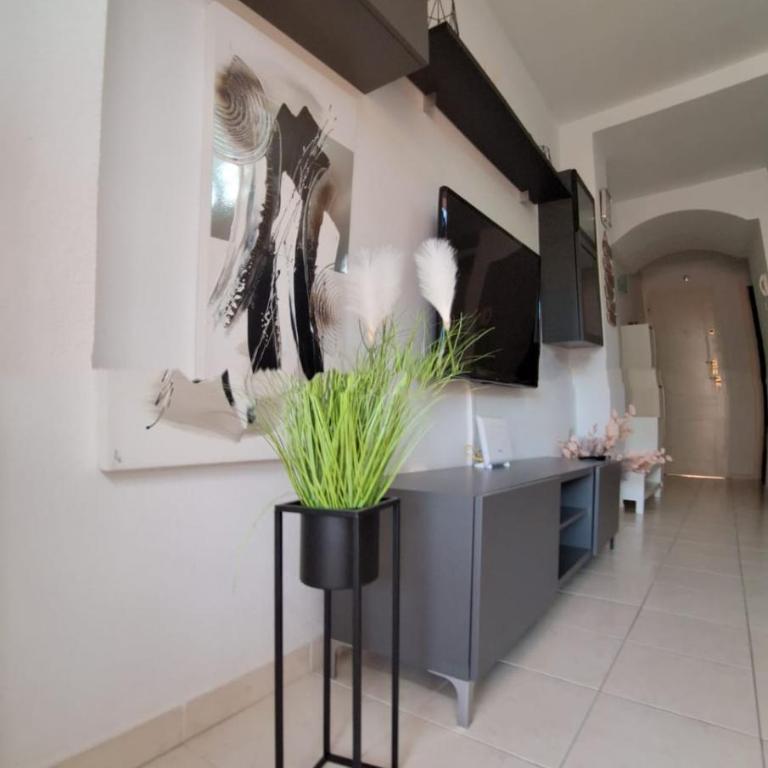 Brisas Del Mar - Sunset Garden - Appartement 1 Chambre - 15