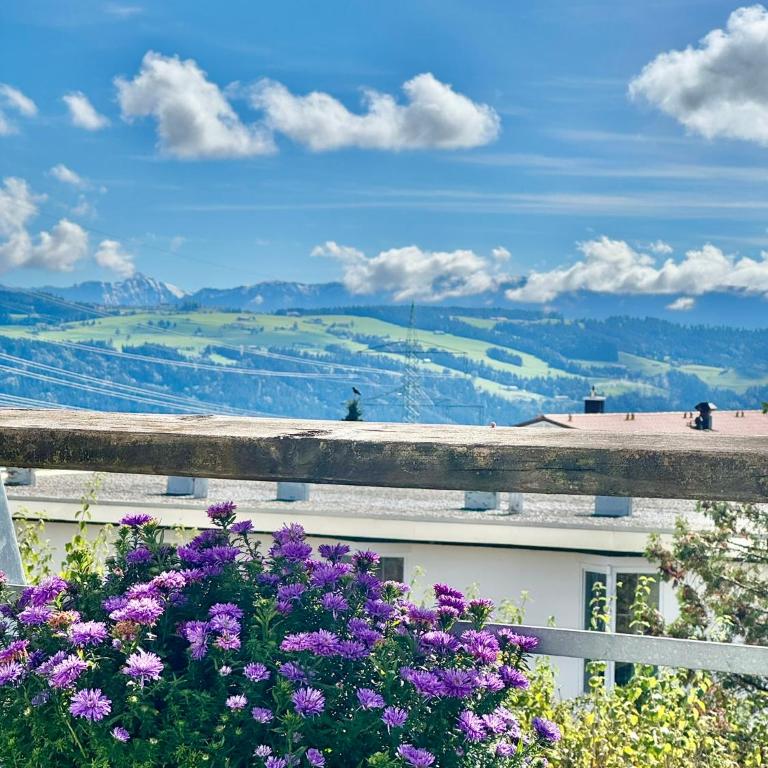 JJ Living - Alpenblick 073 - Apartment mit 1 Schlafzimmer - 14