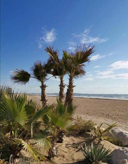 Venice Lido - House for 5 - One-Bedroom Apartment - 26