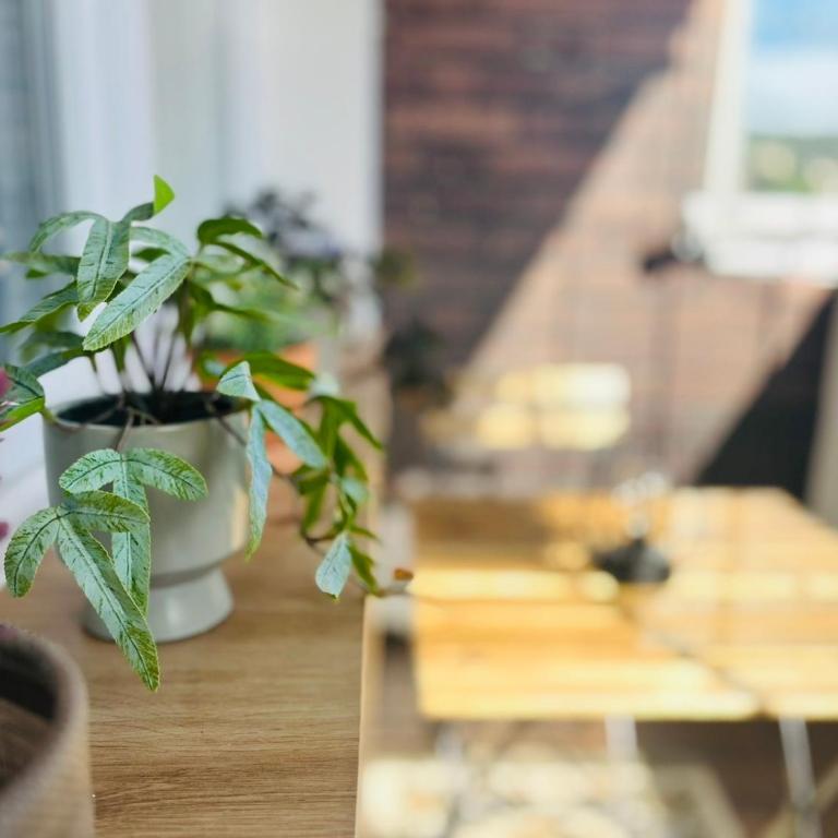 Mak Apartment - free parking - balcony - One-Bedroom Apartment - 17