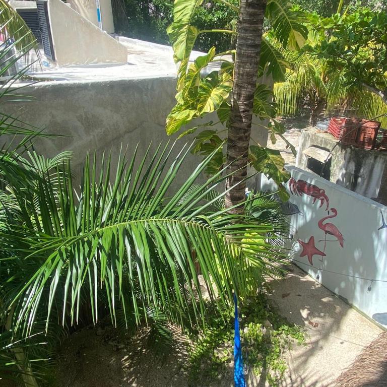 Hotel Pelecanus Suites Holbox - Habitación Doble - 7