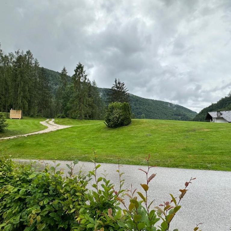 Seppenbauernhütte in Bad Ischl im Salzkammergut - Chalet mit 1 Schlafzimmer - 34