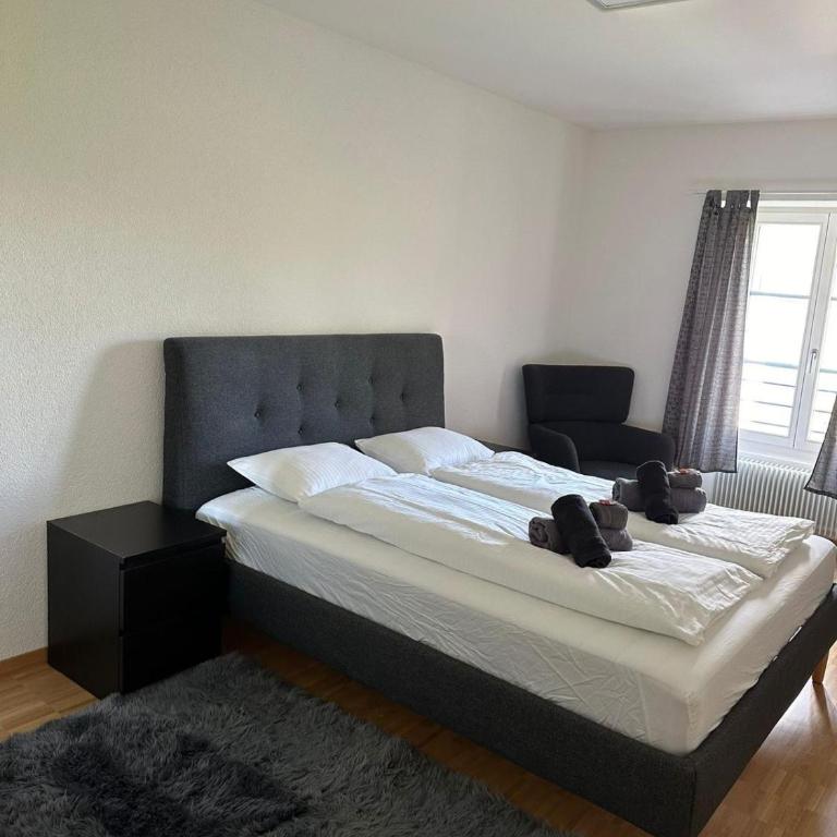 Interlaken Best View Deluxe Apartment - Apartamento Deluxe - 18