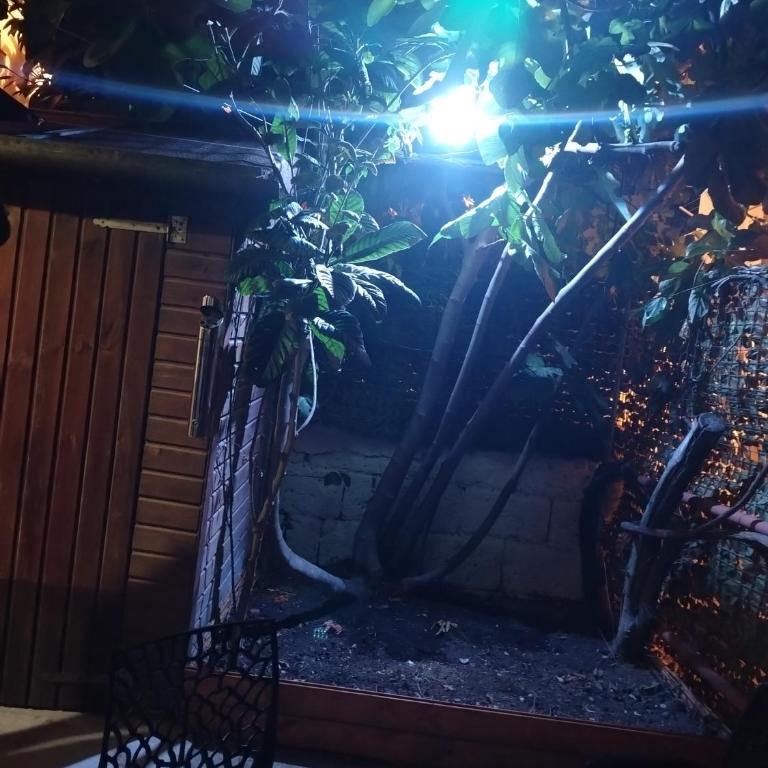 Oasi dei Sassi - Appartamento con 1 Camera da Letto e con Giardino - 13