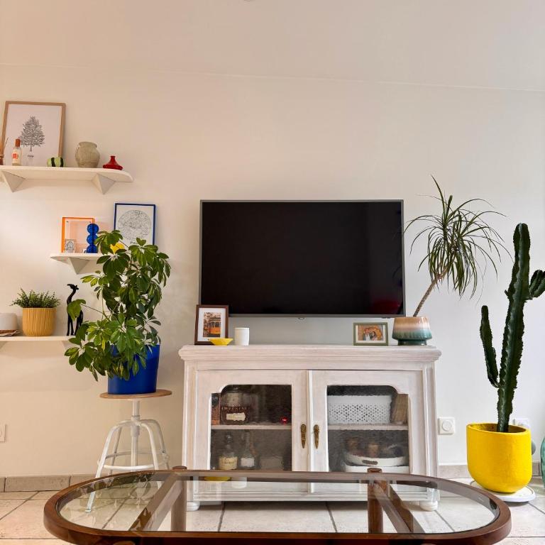 Duplex Trespoey - SPA - Place de parking - Appartement 1 Chambre - 9