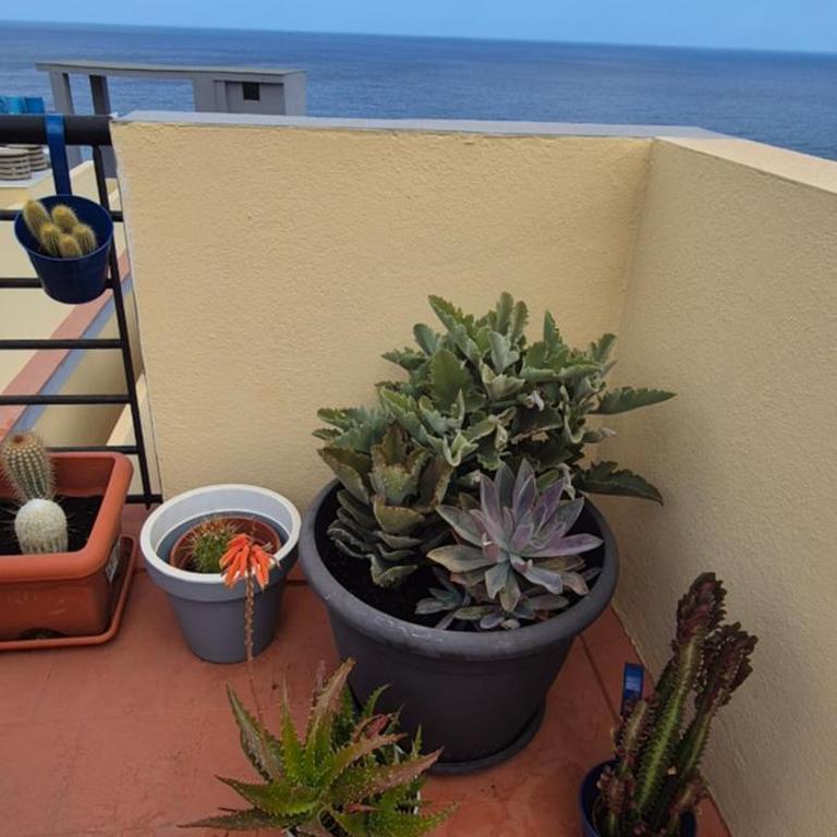 MEERBLICK CALETILLAS - Apartamento de 2 dormitorios - 36