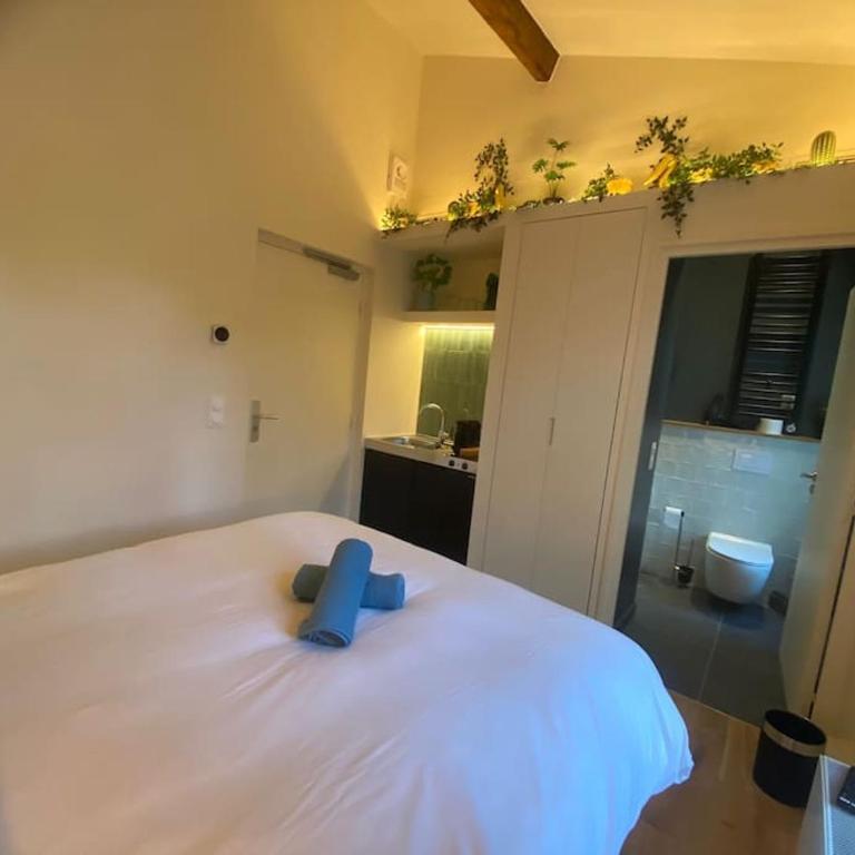 Saint Jacques Zoo - Appartement 1 Chambre - 5