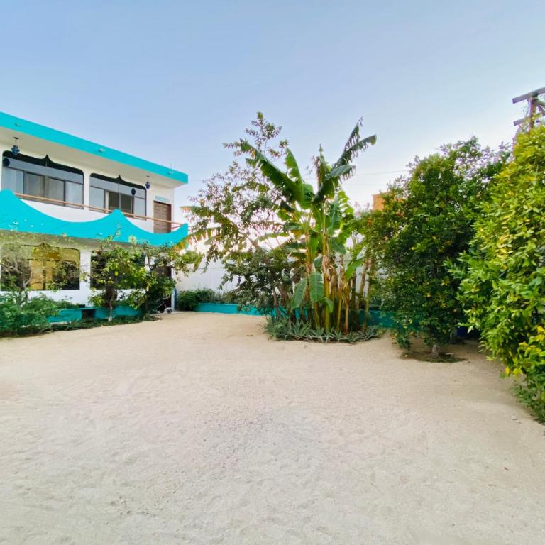 CABO BOHEMIA Tropical Garden Studios - Estudio - 1