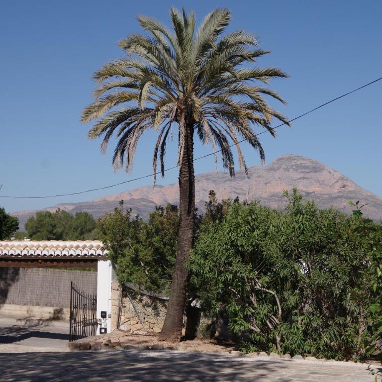 Casa Clari - Casa - 43