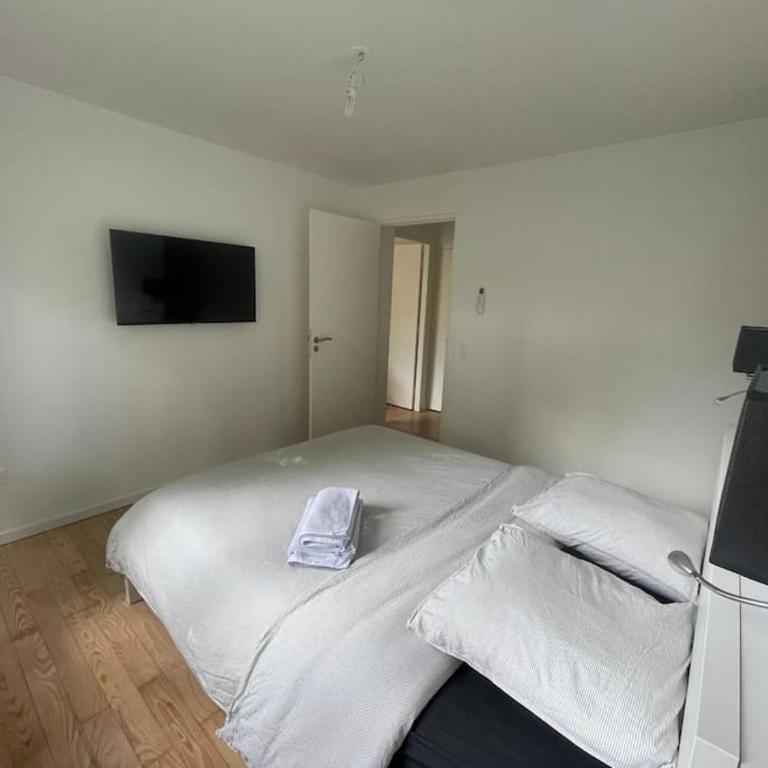 Olivier du ciel ODC - Appartamento Premium con 3 Camere da Letto - 17
