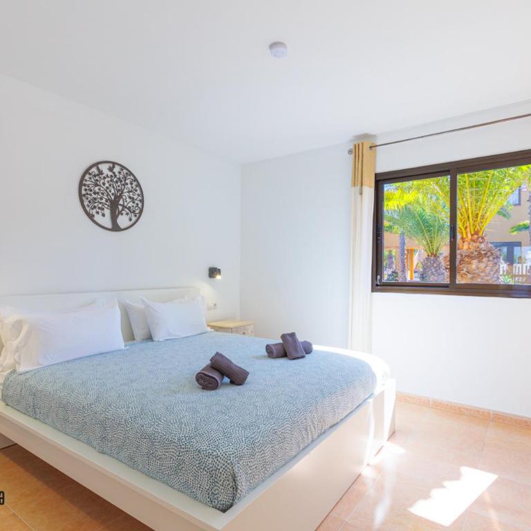 Casa La Rosa Papagayo Corralejo iRentFuerteventura - Apartamento - Planta baja - 3