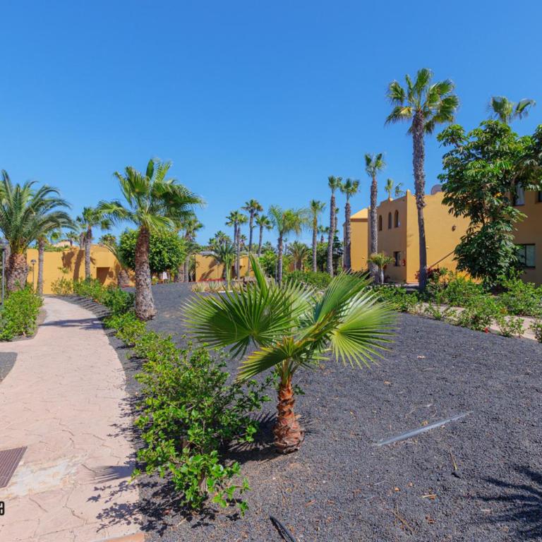Casa La Rosa Papagayo Corralejo iRentFuerteventura - Apartamento - Planta baja - 32
