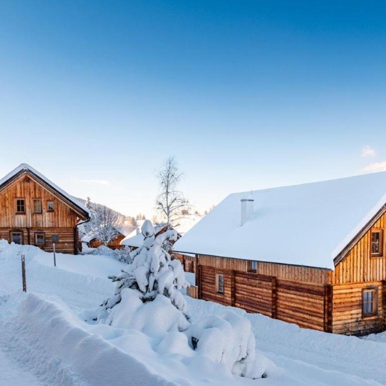 Chalet Dachsteinblick - Chalet - 5