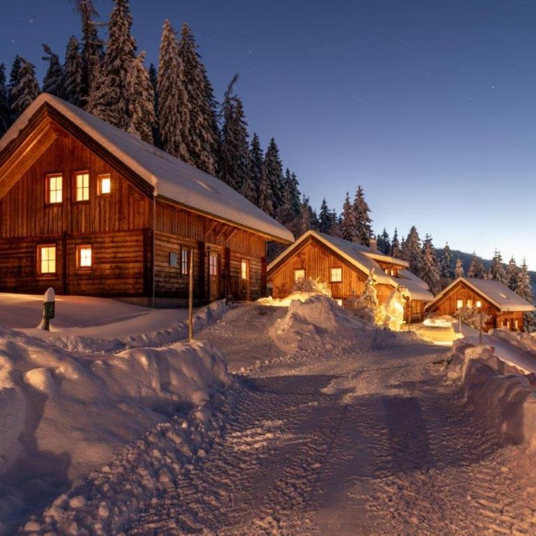 Chalet Dachsteinblick - Chalet - 11