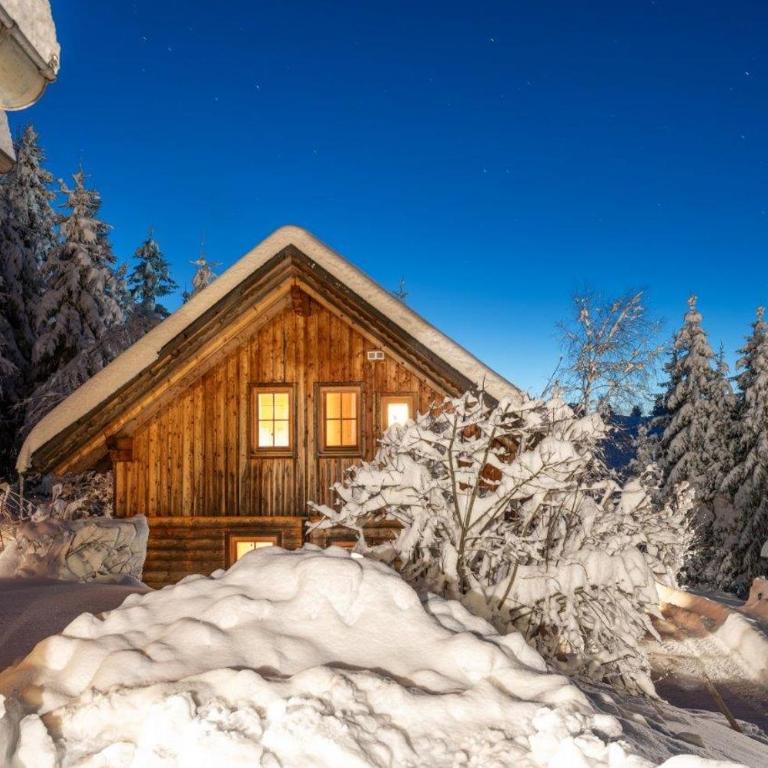 Chalet Dachsteinblick - Chalet - 2