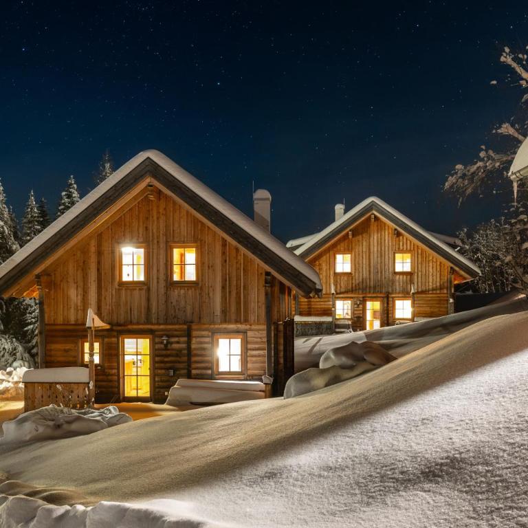 Chalet Dachsteinblick - Chalet - 77
