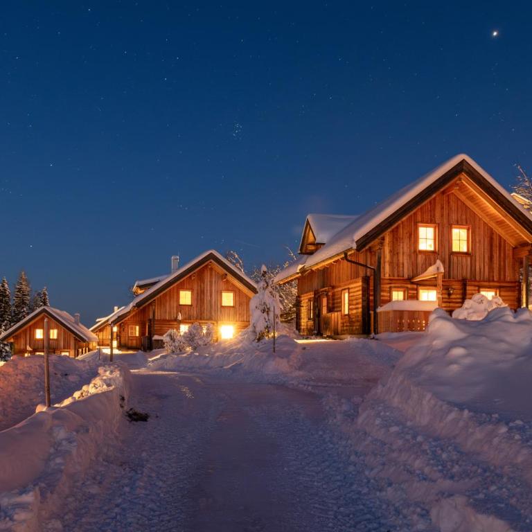 Chalet Dachsteinblick - Chalet - 12