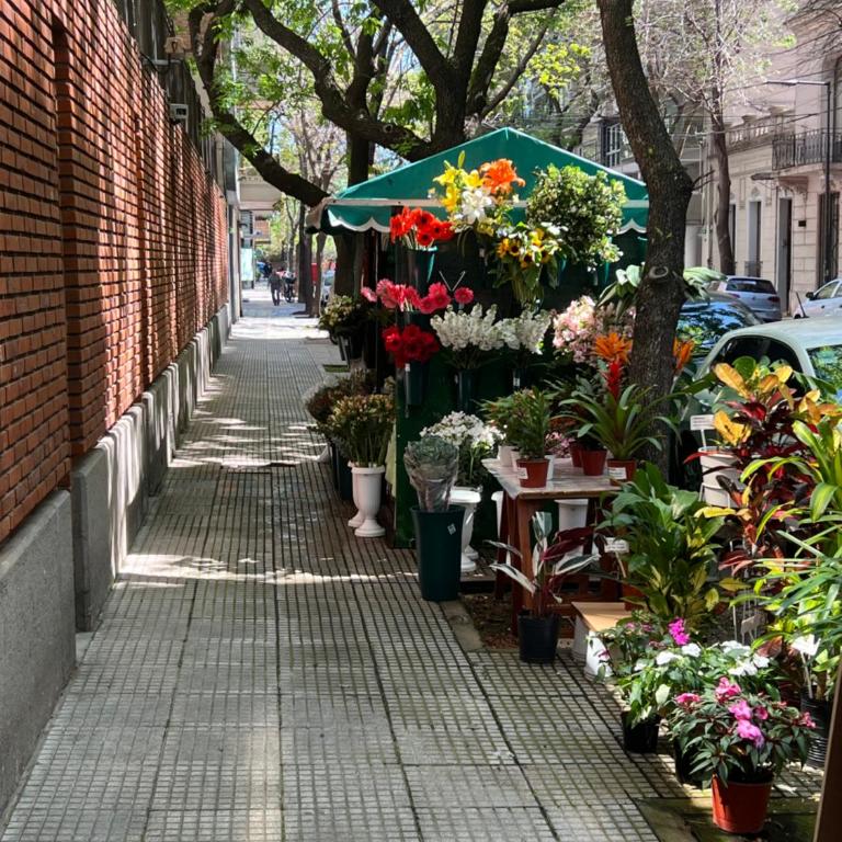 Apartamento en Recoleta - Superior Apartment - 40