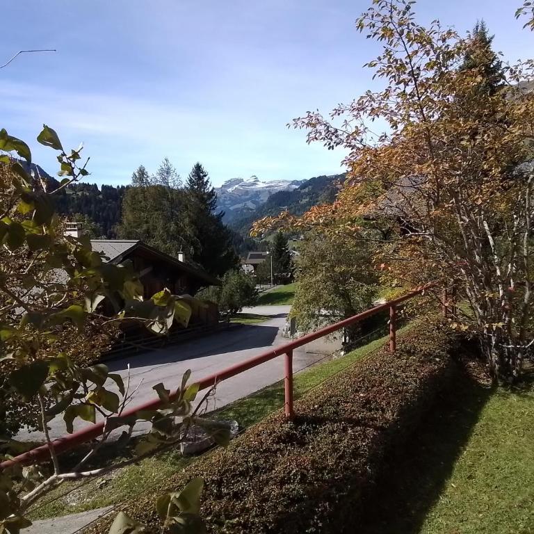 Delightful one bedroom apartment in Les Diablerets - Apartment mit 1 Schlafzimmer - 23