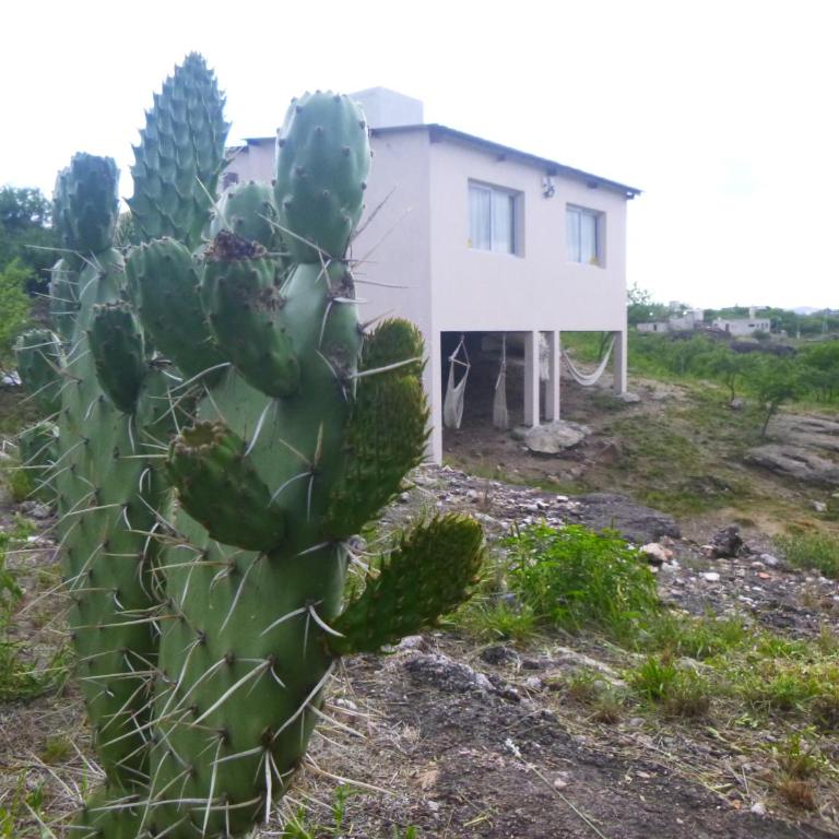 La Tacuarita - Apartamento de 1 dormitorio - 21