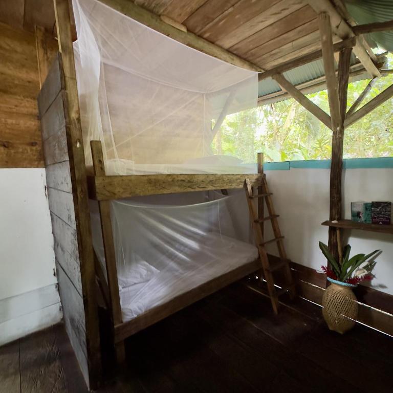 Juan deDios - Pacifico Hostel - Cama individual en habitación compartida - 4