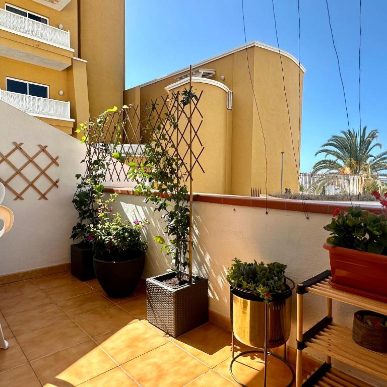 Apartment in Ocean Park II, Costa Adeje, Tenerife - Apartamento de 1 dormitorio - 19
