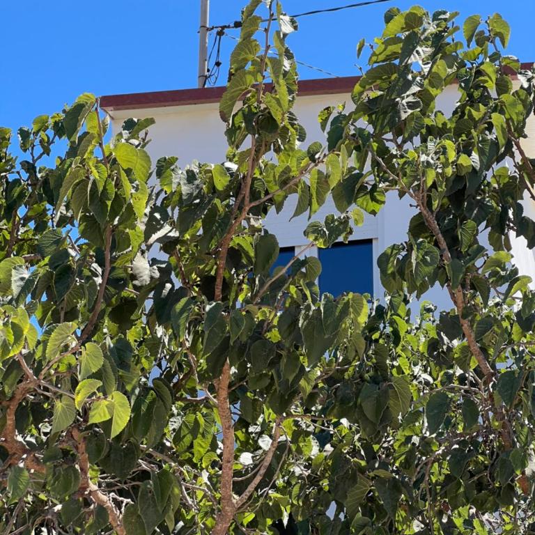 Tantulia la casita del Caballo - Apartamento de 1 dormitorio - 34