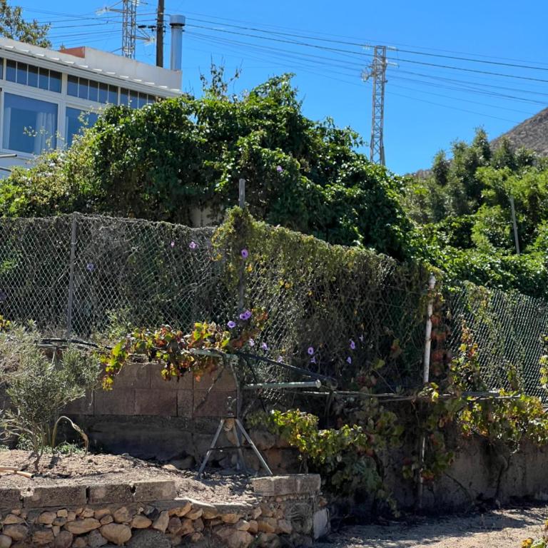 Tantulia la casita del Caballo - Apartamento de 1 dormitorio - 2