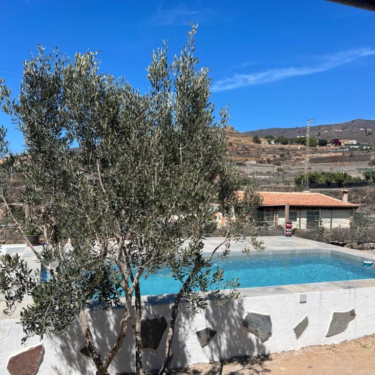 Tantulia la casita del Caballo - Apartamento de 1 dormitorio - 32