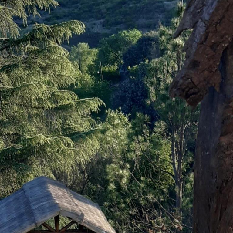 Piedramadre hermosa cabaña a metros del río hasta 4 huéspedes - One-Bedroom House - 1