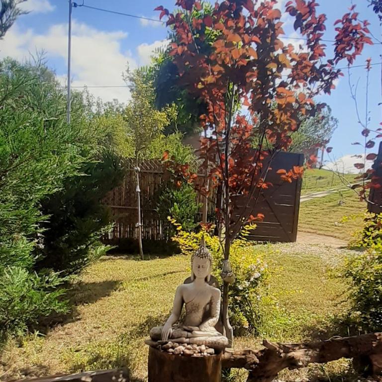 Piedramadre hermosa cabaña a metros del río hasta 4 huéspedes - Casa con 1 dormitorio - 23